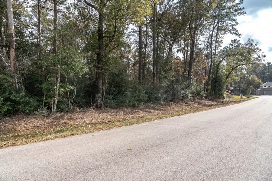 3010 Parthenon Place, New Caney, TX 77357 - Image #2