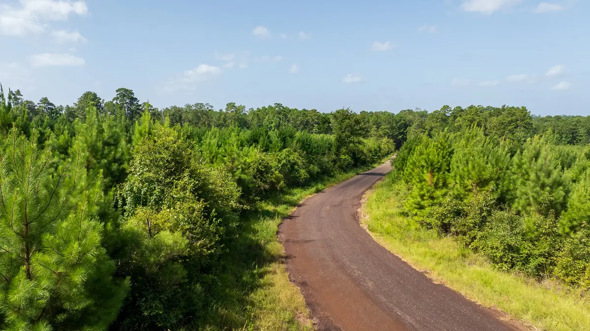 TBD 1 Sandy Creed Rd, Zavalla, TX 75980 - #1