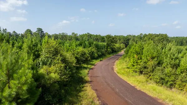 TBD 1 Sandy Creed Rd, Zavalla, TX 75980