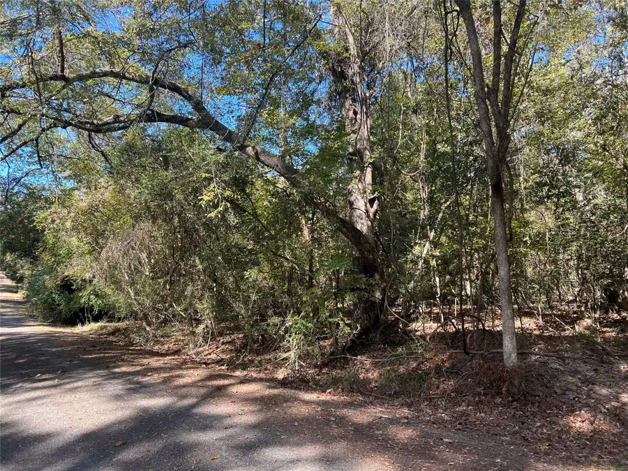 Lot 127 Holly Crest, Livingston, TX 77351 - #2