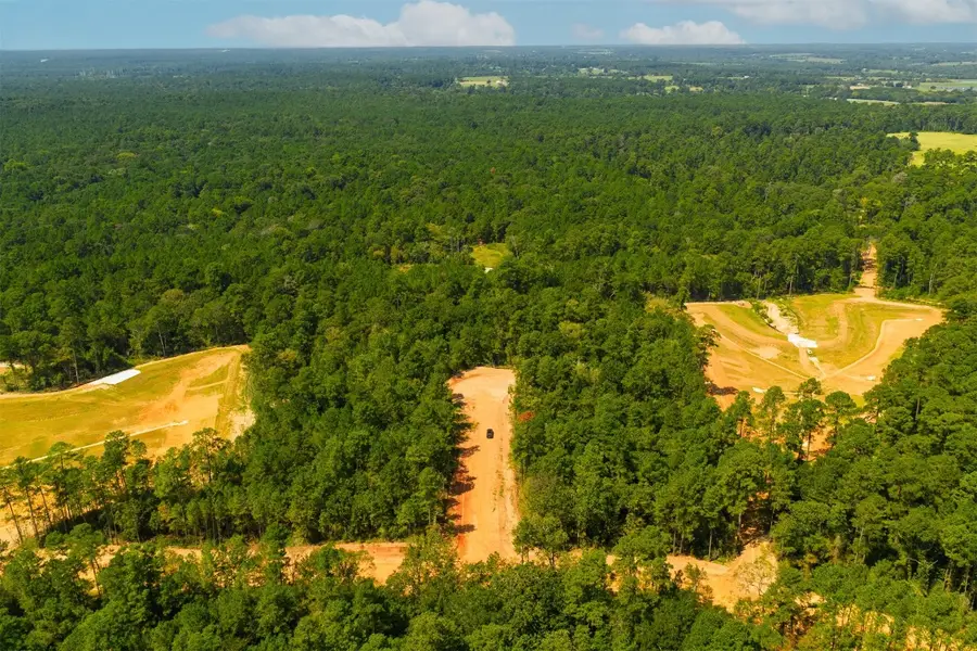 4483 Murfield Drive, Montgomery, TX 77316 - #2