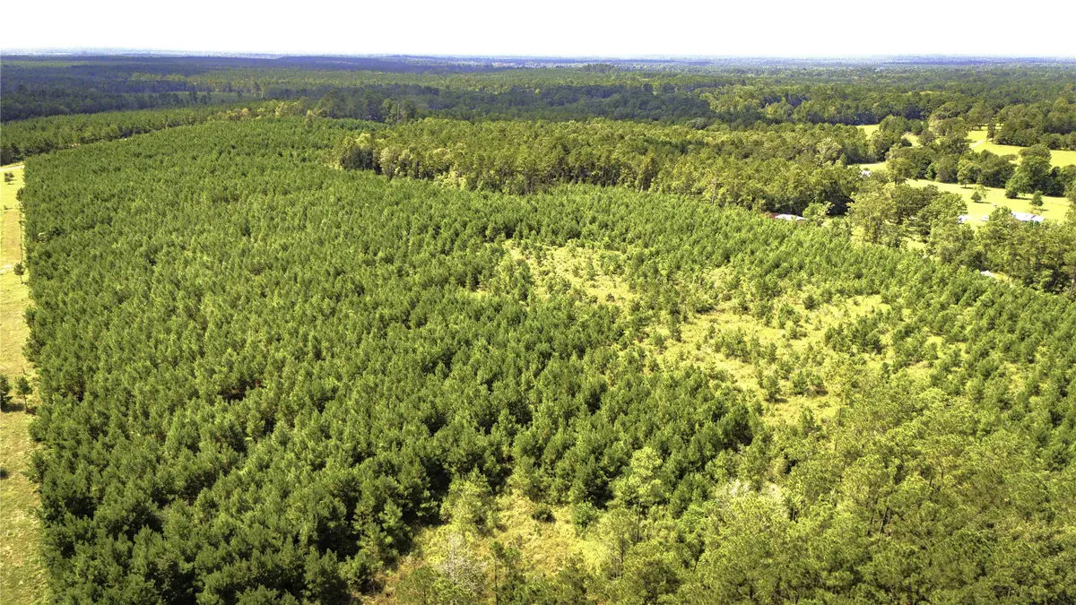 TBD Stutts Hill Road, Livingston, TX 77351 - Image #1