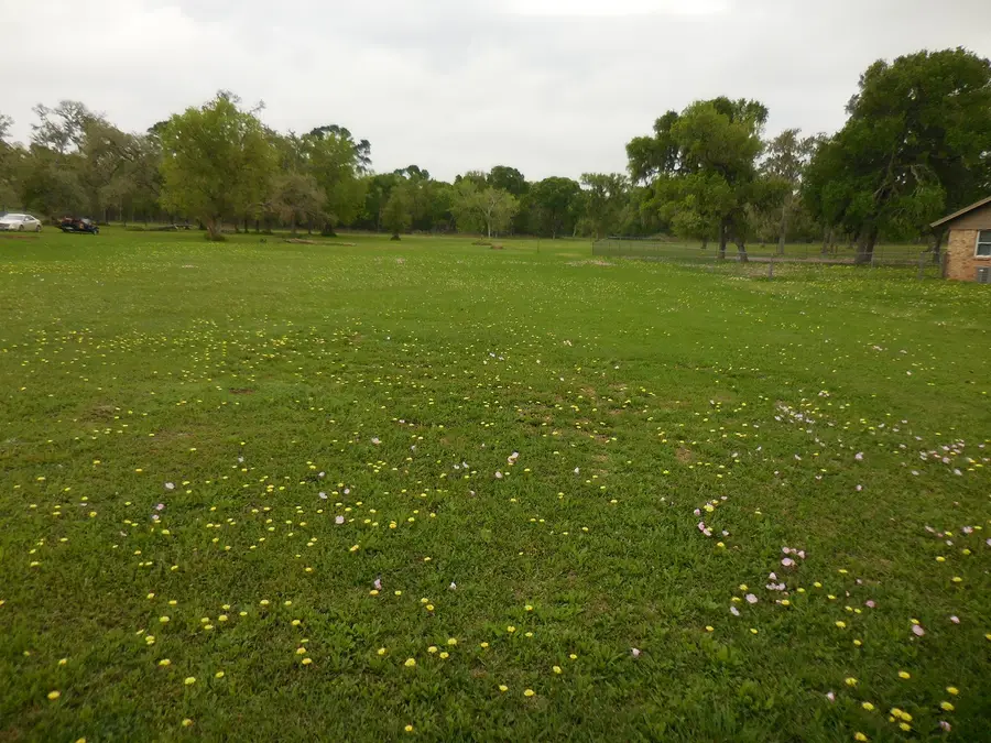 17 County Road 231, Wadsworth, TX 77483 - #2