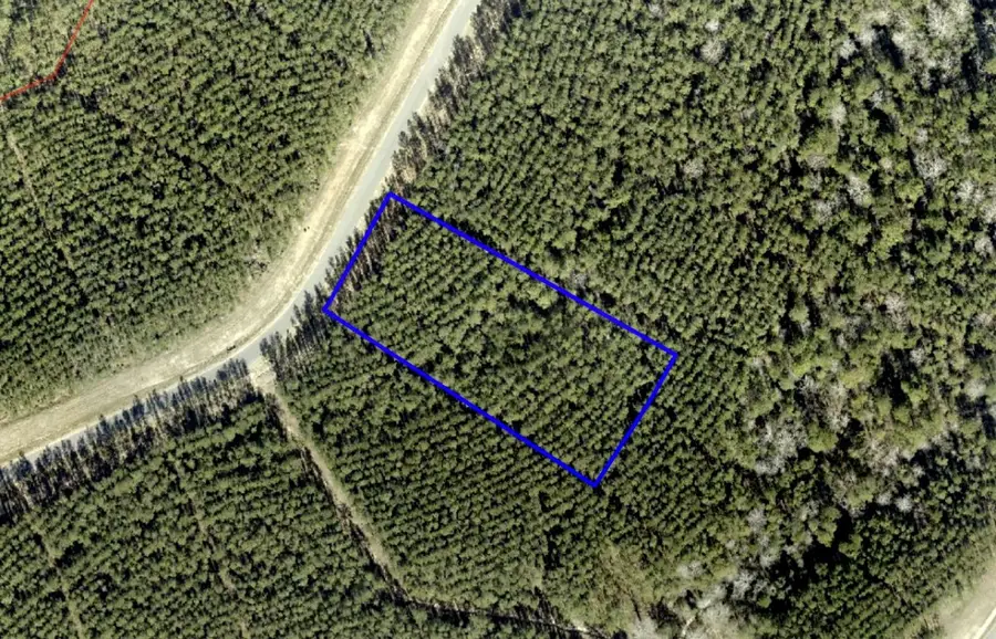 16053 Forest Mill Road, Willis, TX 77378 - #2