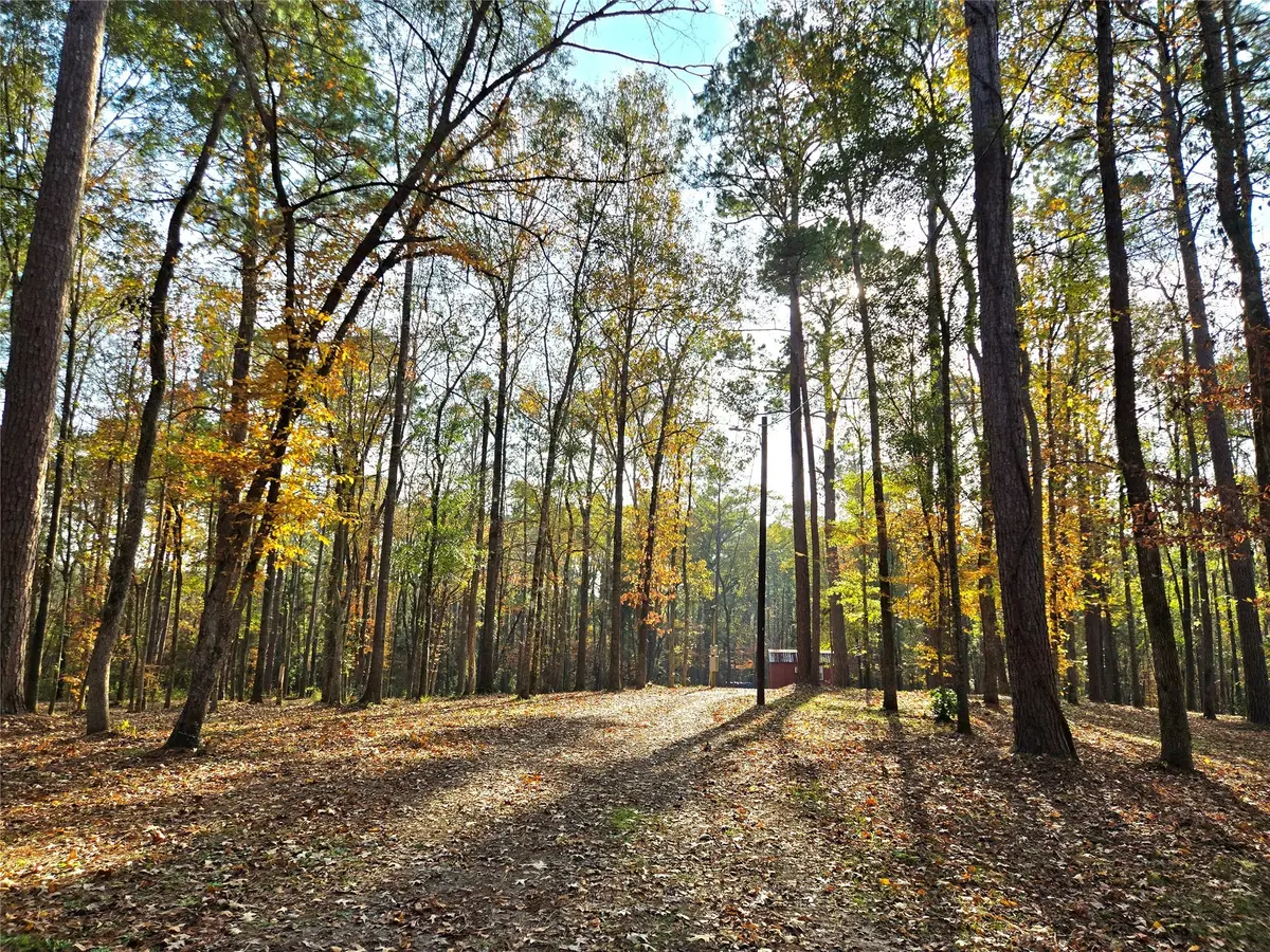 351 Dejardo Lane, Coldspring, TX 77331 - Image #1