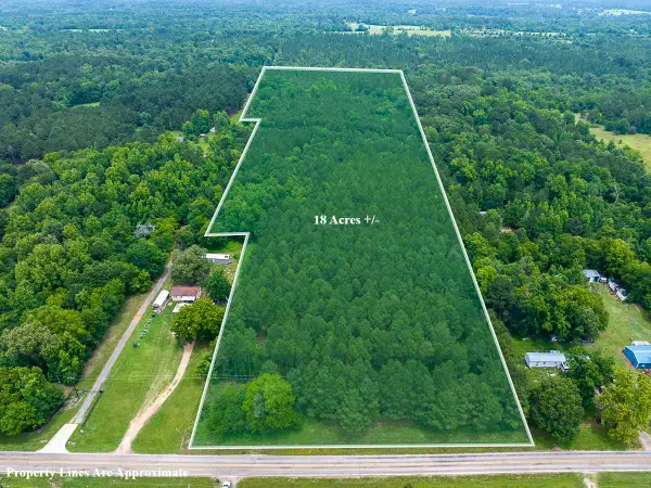 21135 Fm 1252, Winona, TX 75706