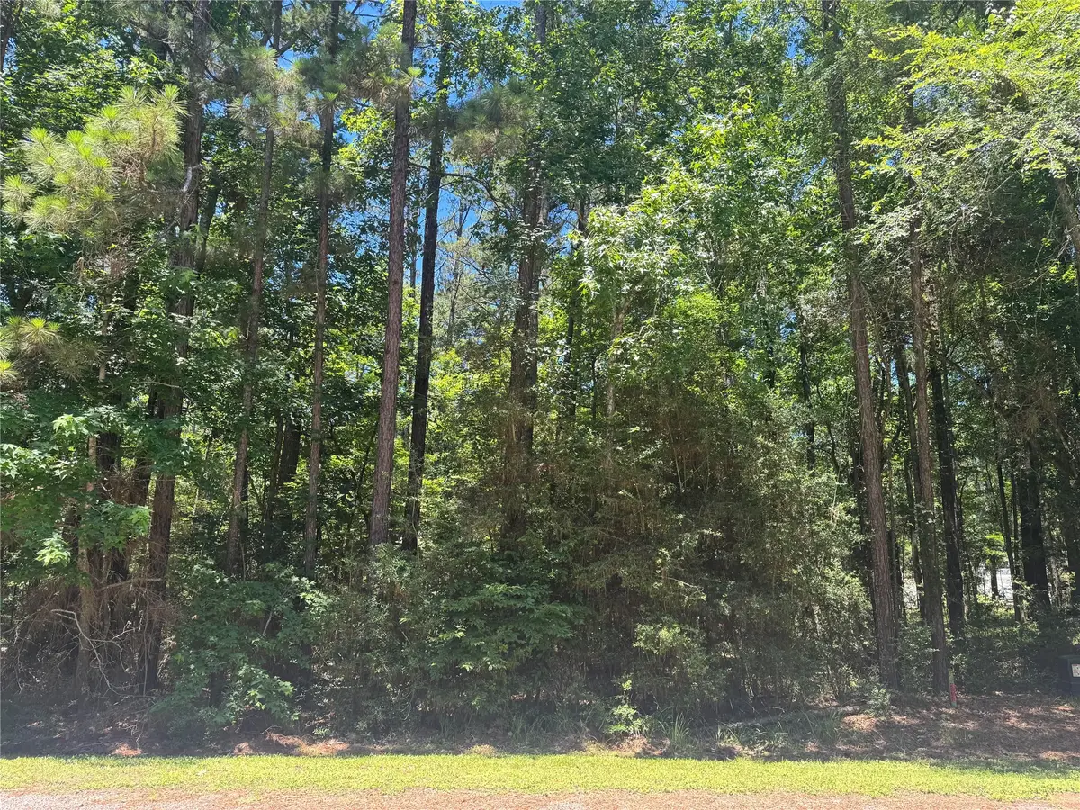 69 Sunny Hill Drive, Coldspring, TX 77331 - #1