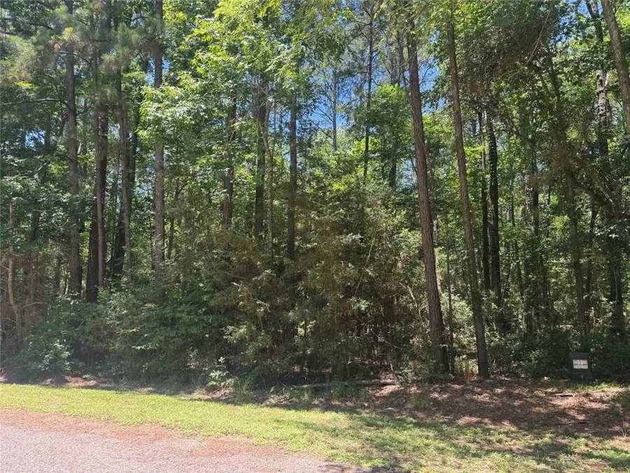 69 Sunny Hill Drive, Coldspring, TX 77331 - #2