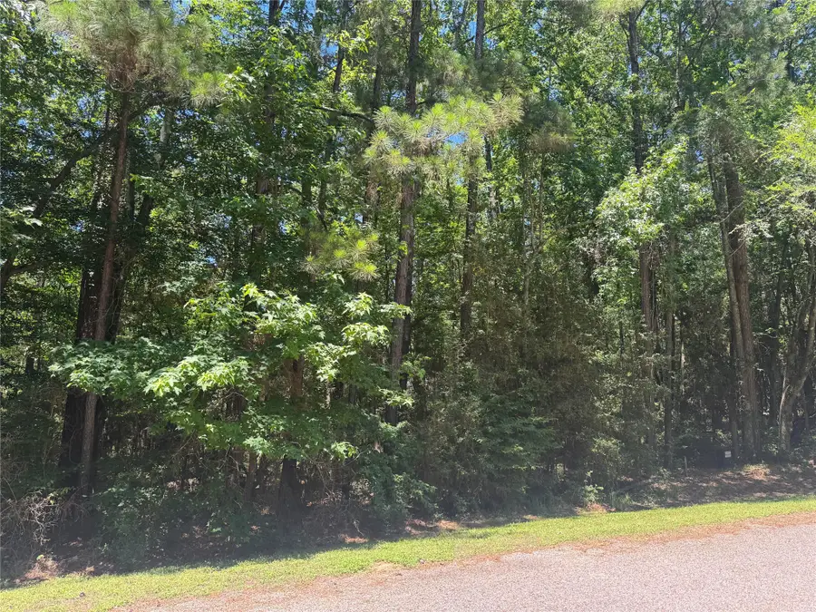 69 Sunny Hill Drive, Coldspring, TX 77331 - #3