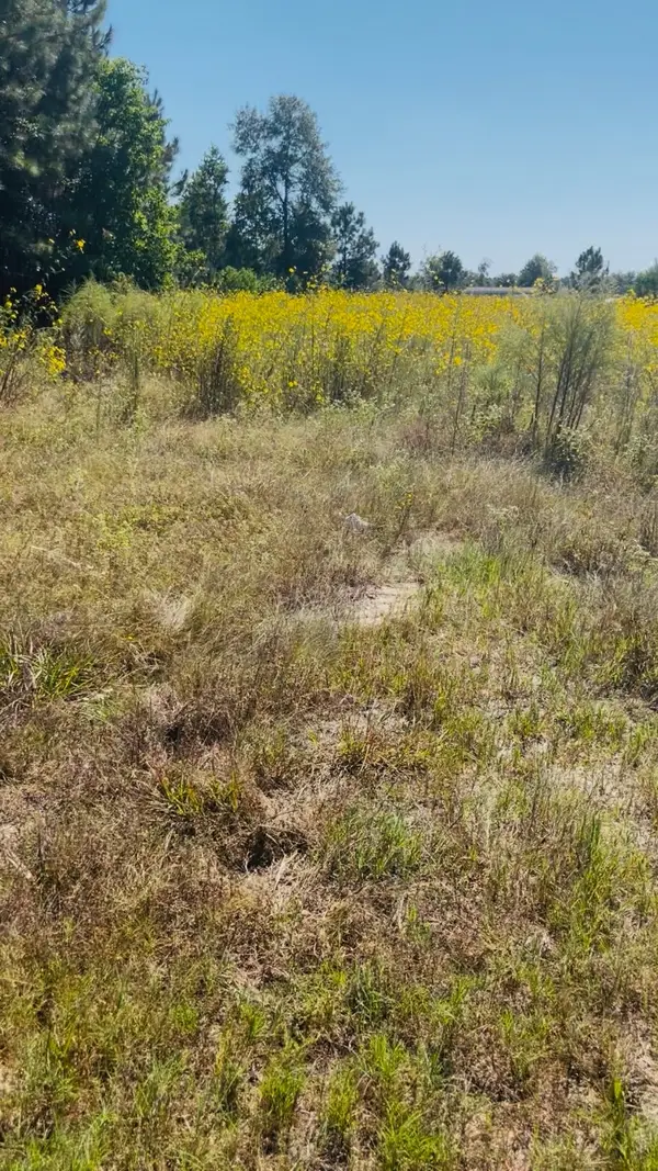 388 County Road 5017, Cleveland, TX 77327