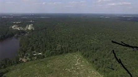 00 Summer Lane, Huntsville, TX 77340 - Image #1