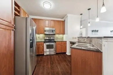 1711 Old Spanish Trail #313, Houston, TX 77054 - Image #2