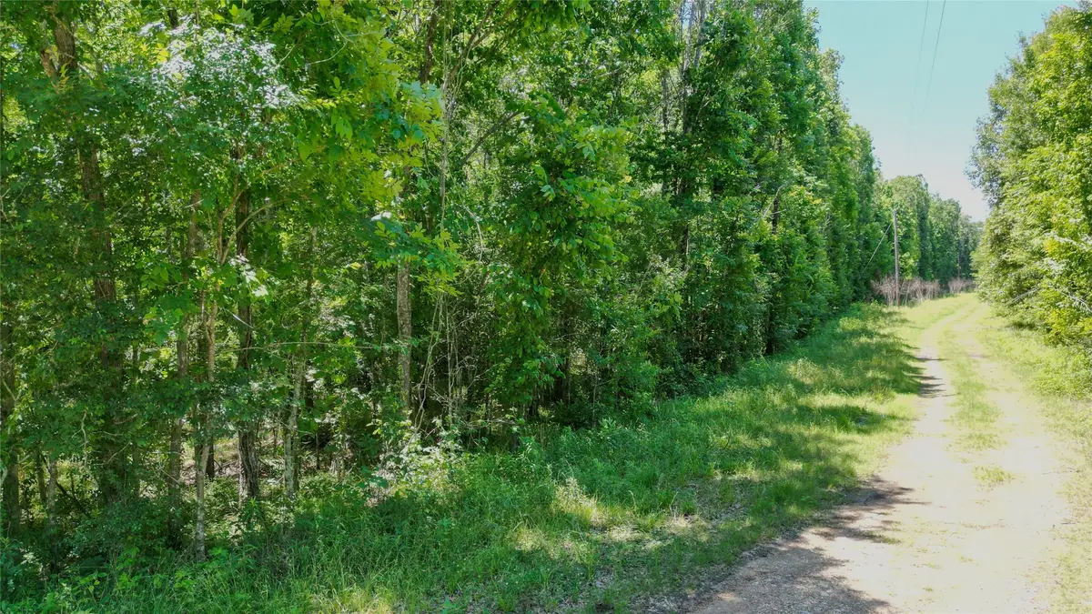 TBD Buck Creek Road, Shepherd, TX 77371 - #1