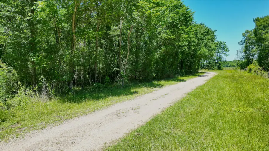 TBD Buck Creek Road, Shepherd, TX 77371 - #3