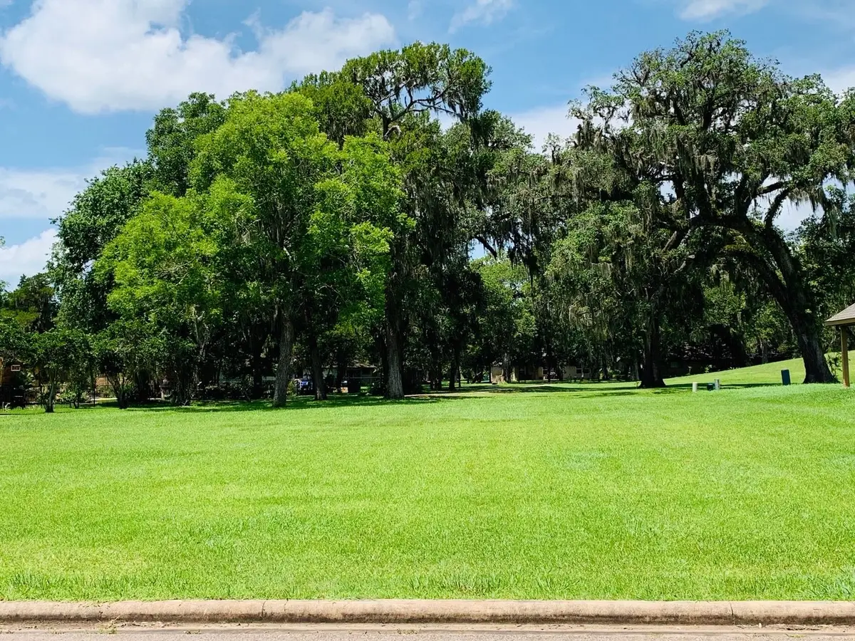 2200 Sunset Oaks Drive, West Columbia, TX 77486 - #1