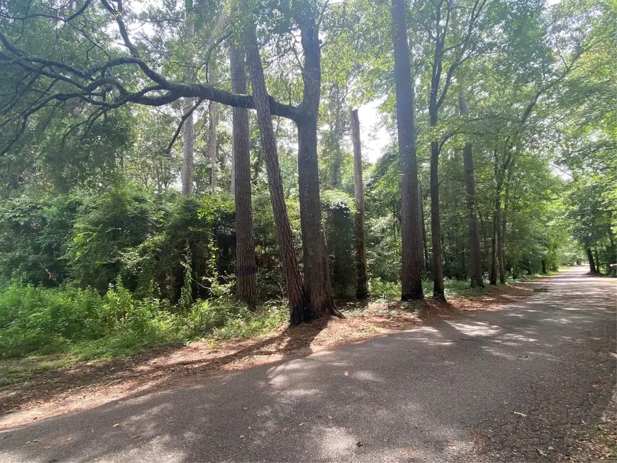 15104 Forest Lane, Conroe, TX 77306 - #3