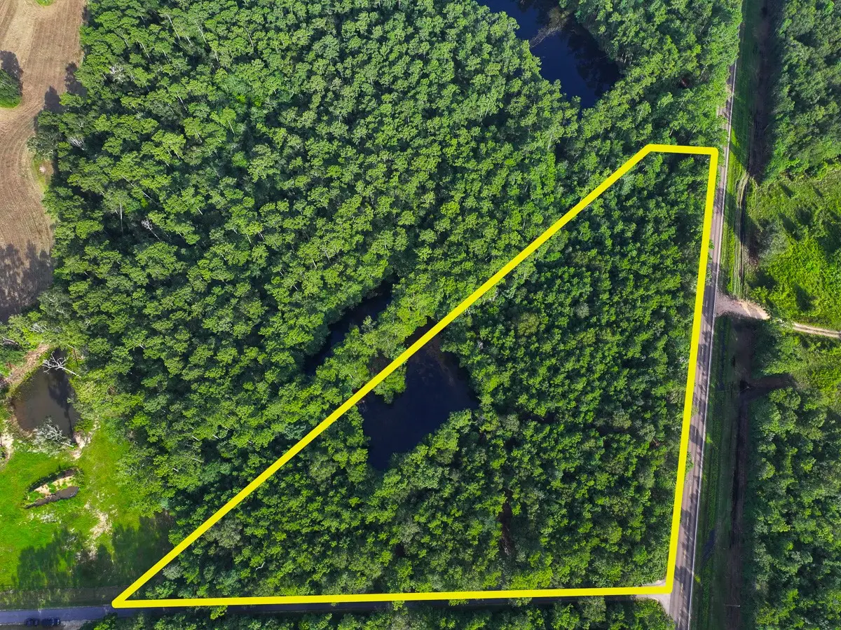 03 Fm 787, Saratoga, TX 77585 - #1