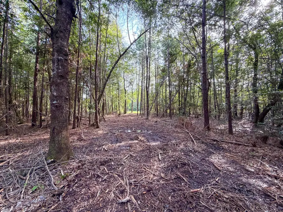 03 Fm 787, Saratoga, TX 77585 - #3