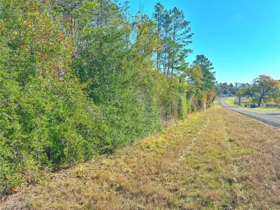 Tract 1 N Farm To Market 2022, Grapeland, TX 75844 - Image #3