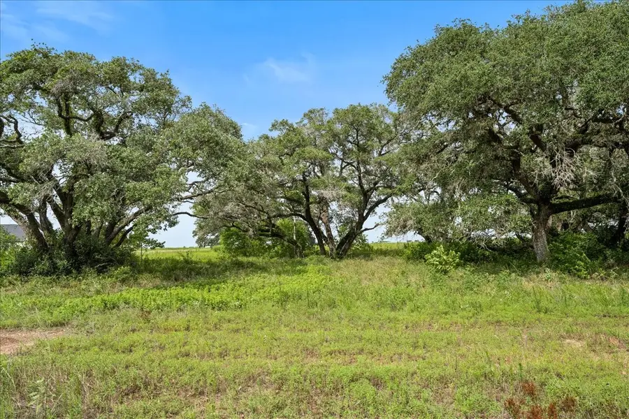TBD Pintail Lane, Columbus, TX 78934 - #2