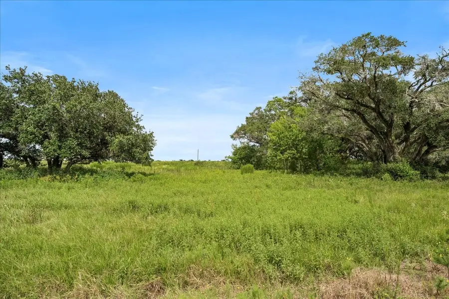 TBD Pintail Lane, Columbus, TX 78934 - #3