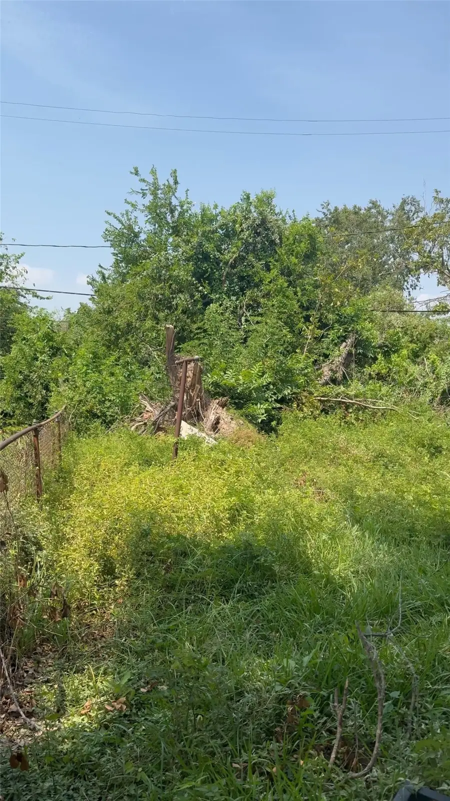 241 Owens Street, Houston, TX 77029 - #3