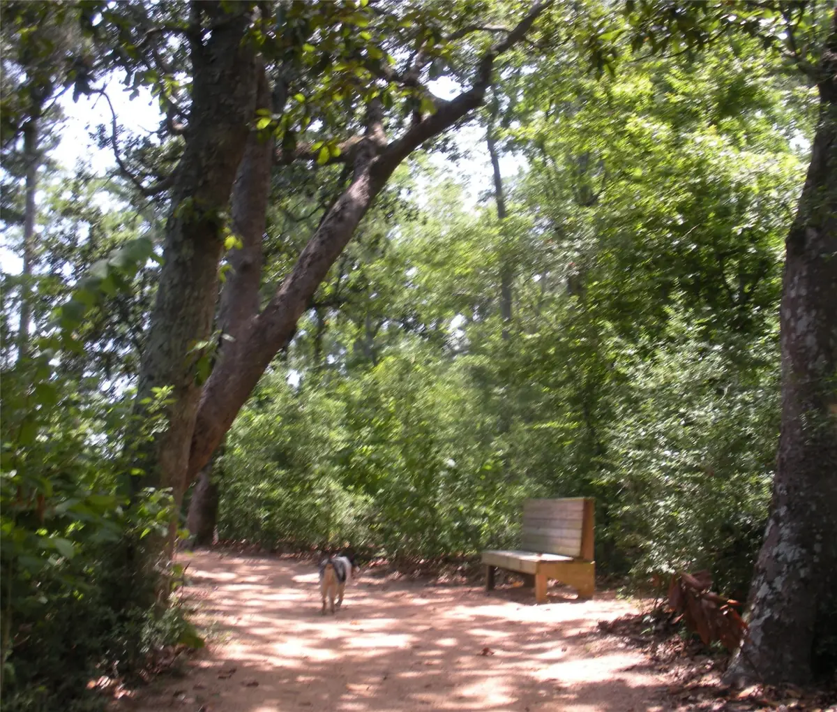 10039 Fm 787 Road W, Cleveland, TX 77327 - Image #1