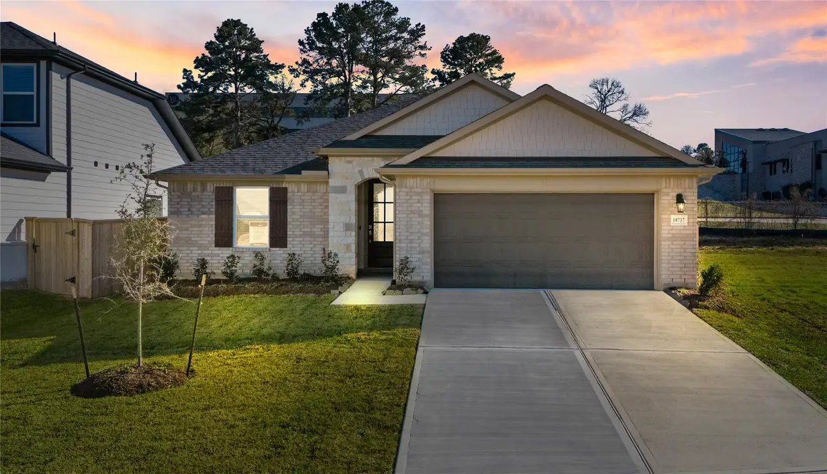 19737 Flag View Drive, Montgomery, TX 77316 - #1