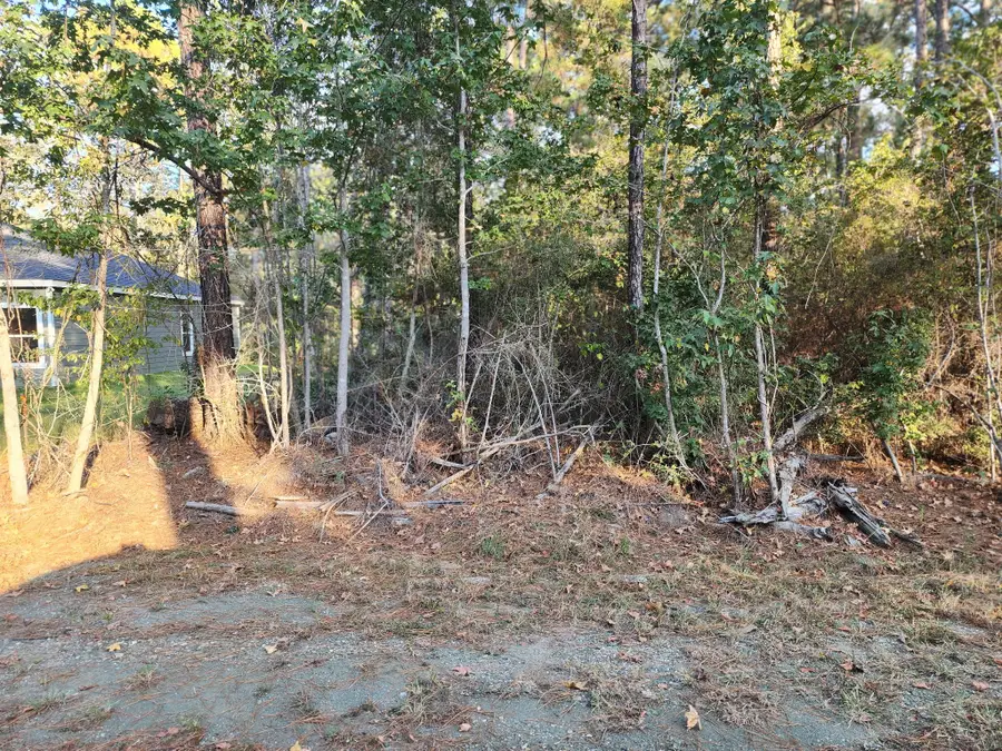 Dogwood drive Dogwood Drive Brookeland 75931, Brookeland, TX 75931 - #2