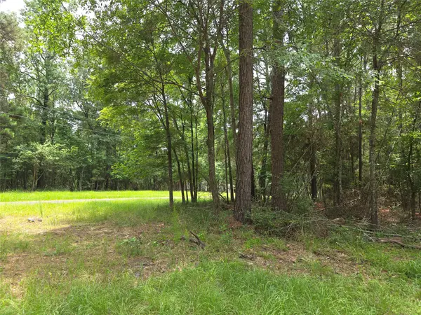 TBD Loper Lake Drive, Livingston, TX 77351