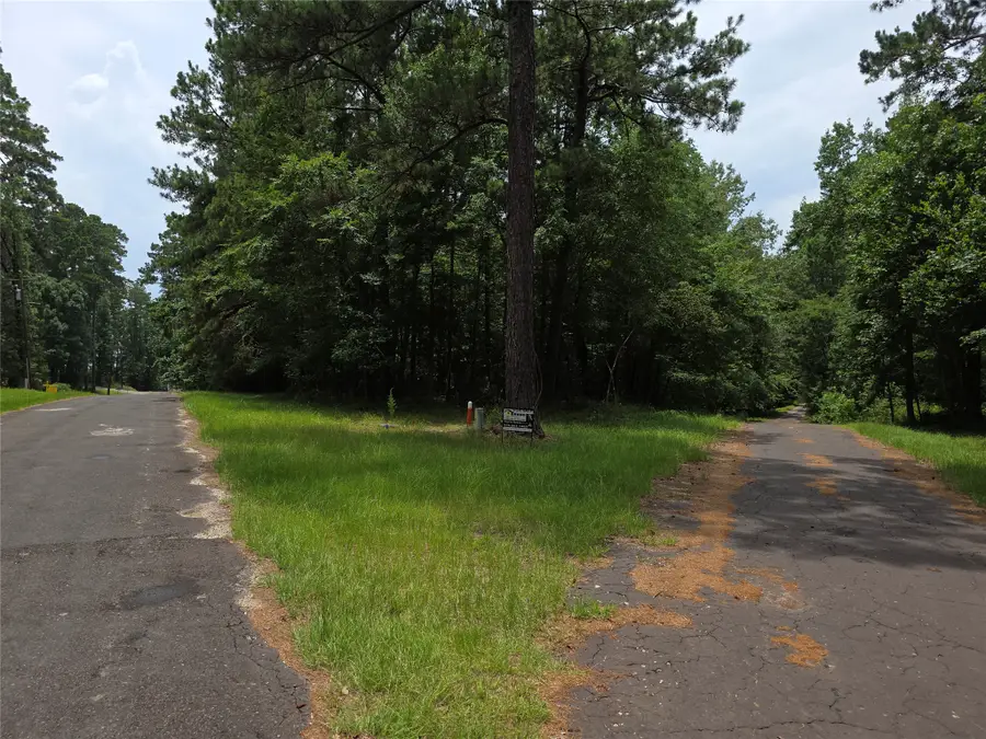 TBD Loper Lake Drive, Livingston, TX 77351 - #3