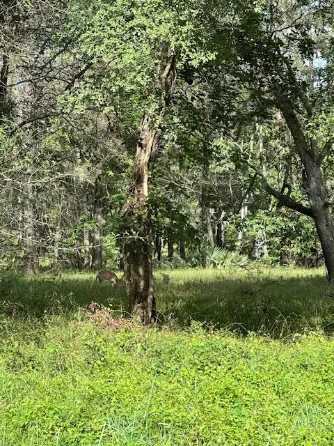 TBD Walker Drive, Cleveland, TX 77327 - Image #2