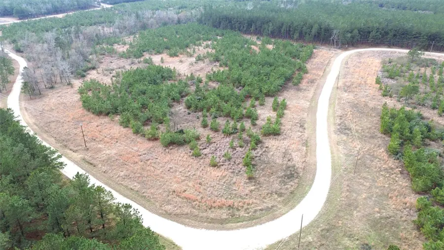 TBD Taylor Trail, Lovelady, TX 75851 - #2