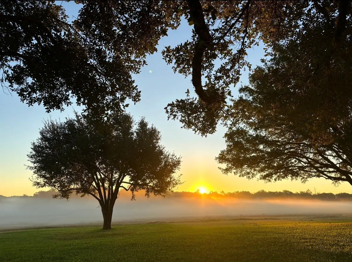 4203 Old Mill Creek Road, Brenham, TX 77833 - #1
