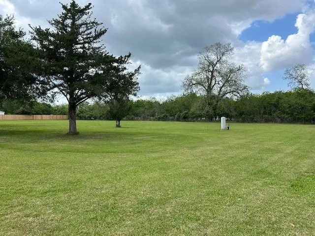3019 Bowser Road, Fulshear, TX 77441 - #3