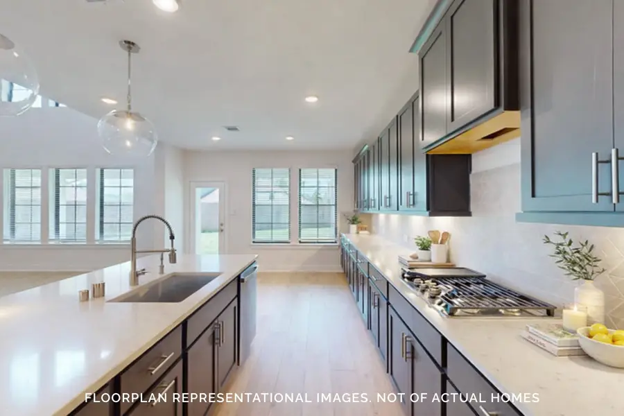21003 Geranium Park Circle, Northwest Harris, TX 77447 - #3