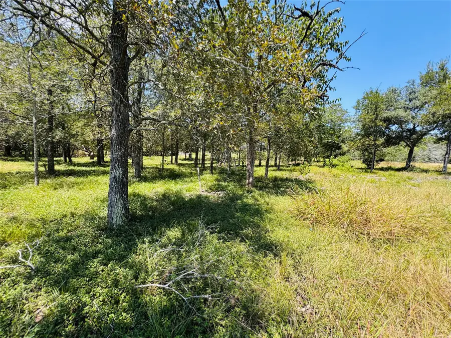 1132 Kickler, Fayetteville, TX 78940 - #3