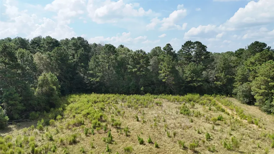 TBD Afton Lane, Livingston, TX 77351 - #2