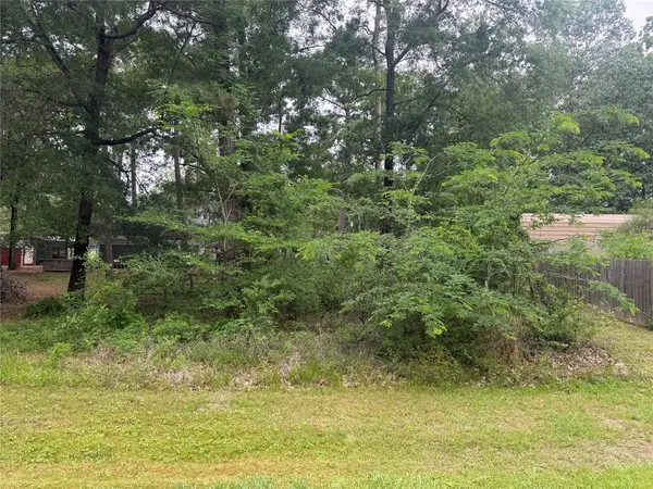 125 Trinidad Lane, Point Blank, TX 77364