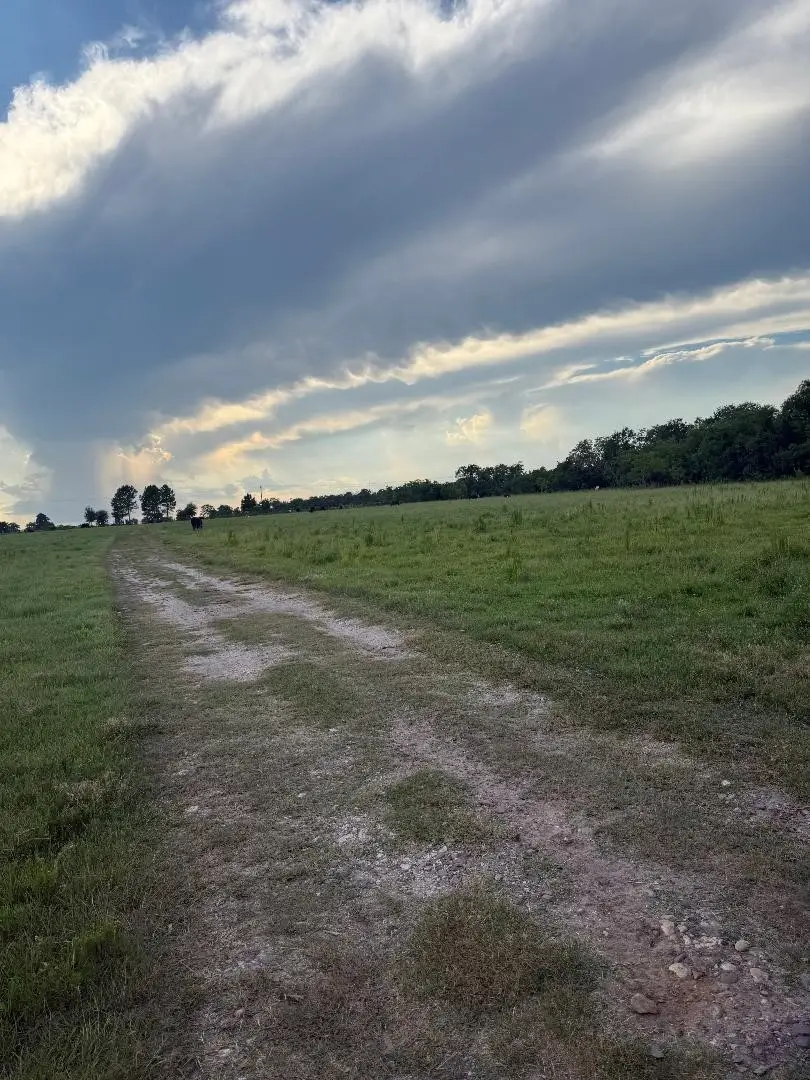 25704 Fm-1488, Waller, TX 77484 - Image #1