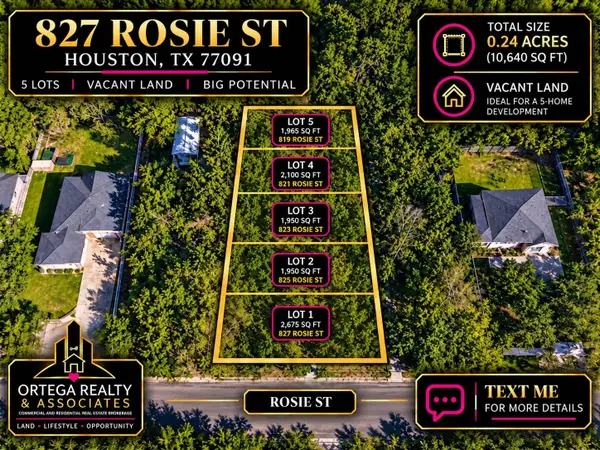 825 Rosie Street, Houston, TX 77091