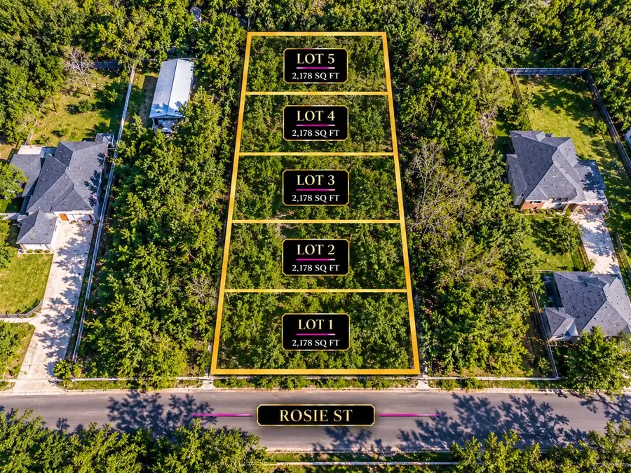 825 Rosie Street, Houston, TX 77091 - #2