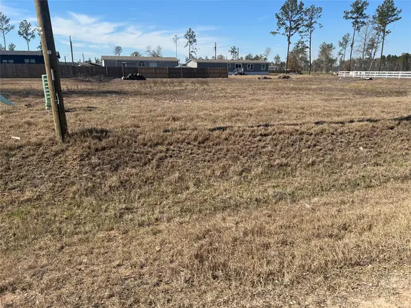 12244 Truchard Drive, Conroe, TX 77306