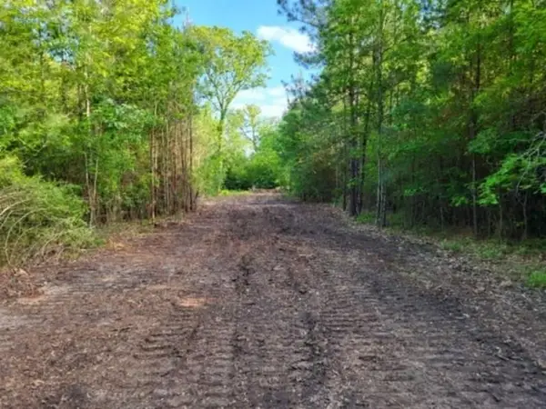 550 Robert Jones Road, Huntington, TX 75949