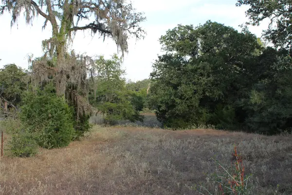 Parcel 4 Lobo Lane, Columbus, TX 78934