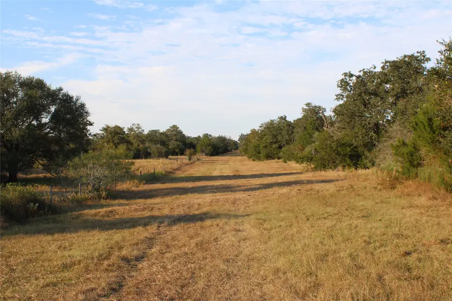 Parcel 4 Lobo Lane, Columbus, TX 78934 - Image #3