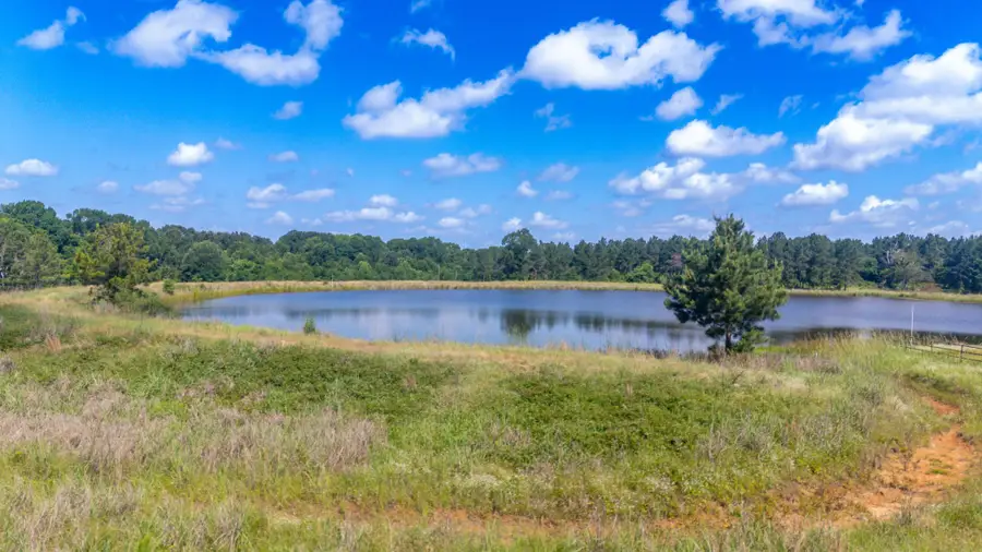 1950 Buckhorn Creek Drive, Crockett, TX 75835 - #3