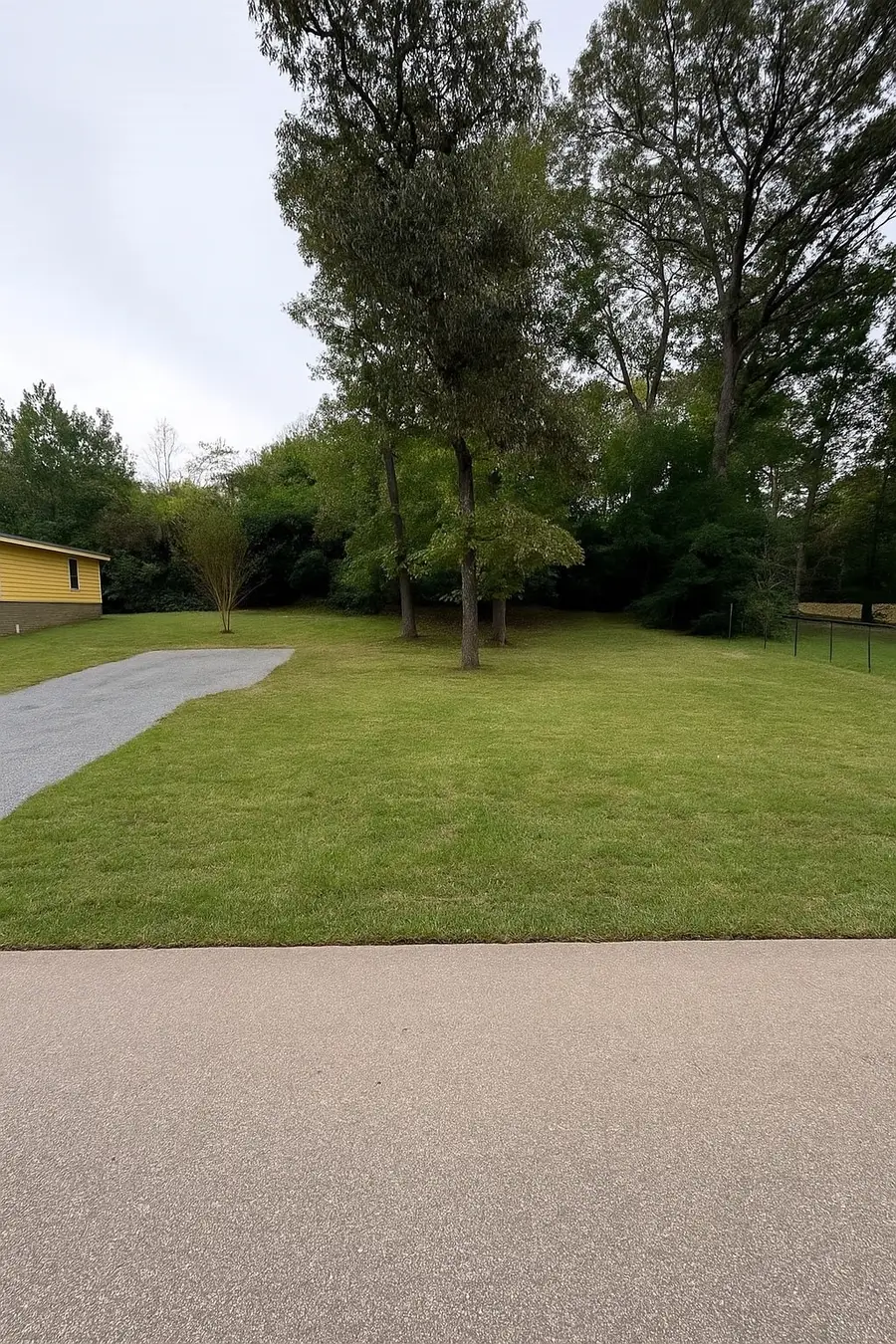 (.25 ac) 601 Faulkner Avenue, Coldspring, TX 77331 - #3