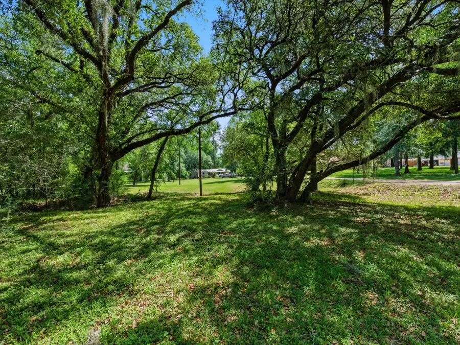 27855 Kresdorn Road, Hockley, TX 77447 - #2