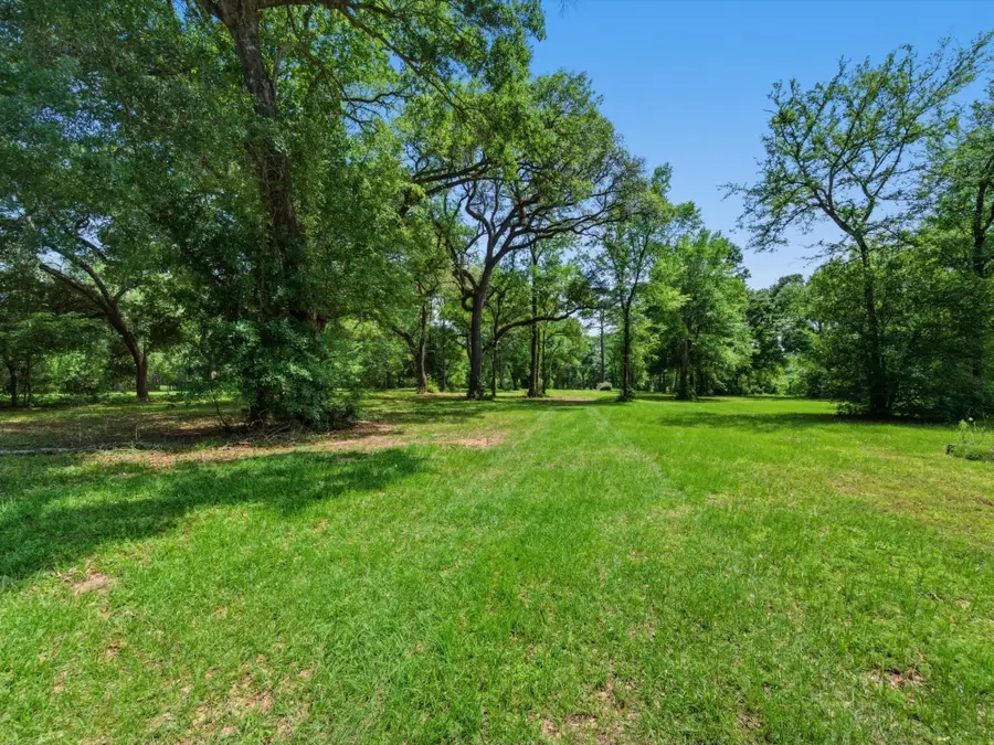 27855 Kresdorn Road, Hockley, TX 77447 - #3